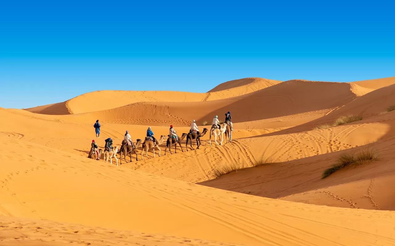 Camel riding in Morocco