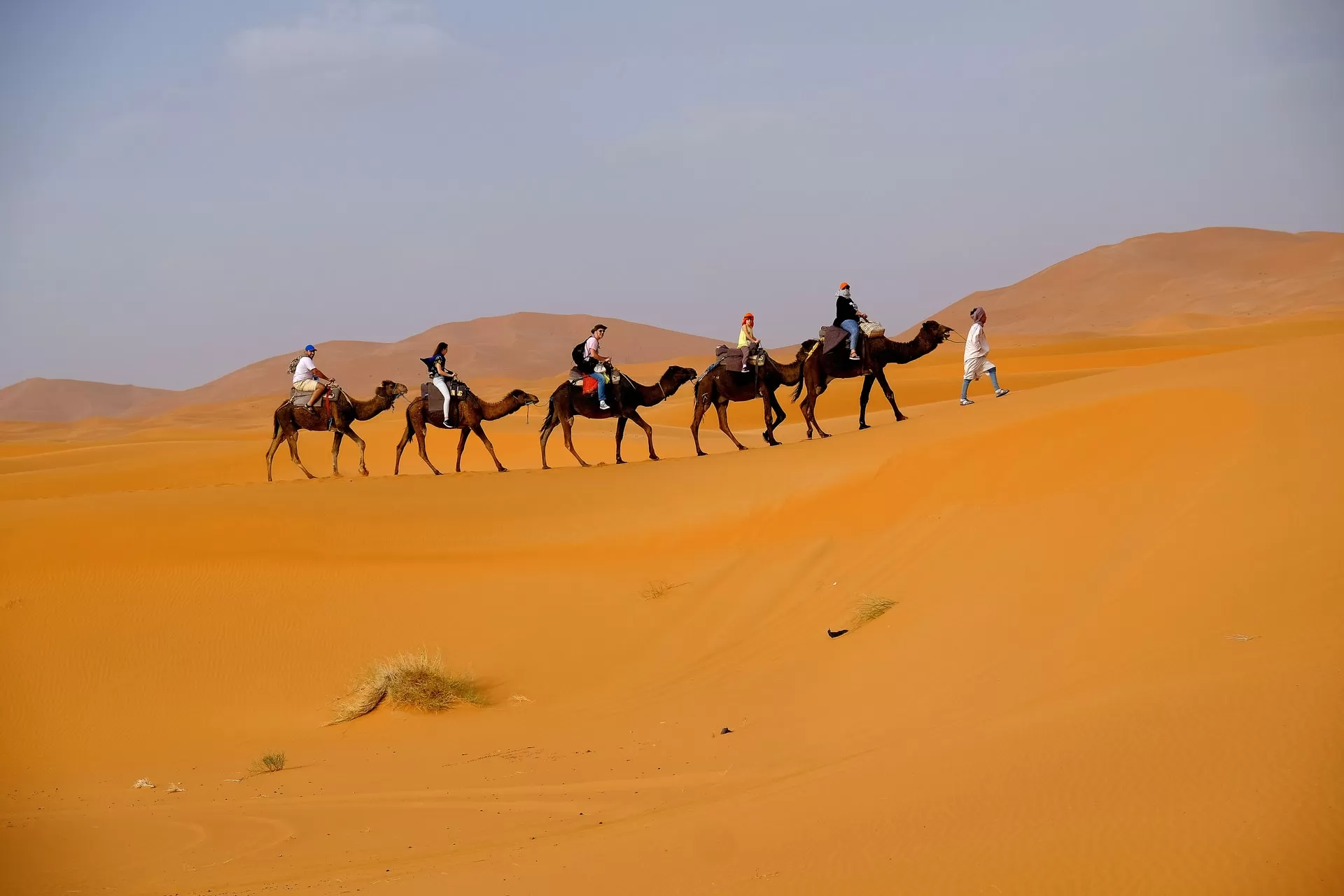 Cose da fare a Merzouga