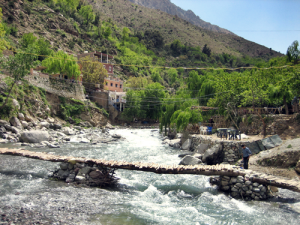 Marrakech to Ourika Valley Day Trip