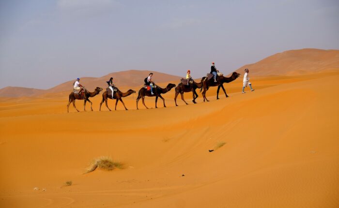 Things to do in Merzouga