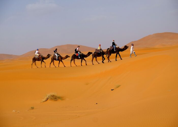 Things to do in Merzouga