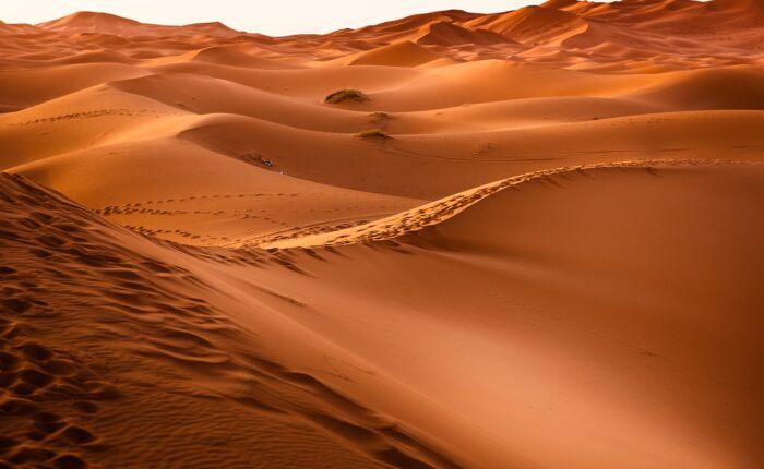 4 days tour from fes to marrakech