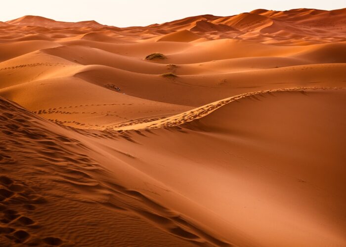 4 days tour from fes to marrakech